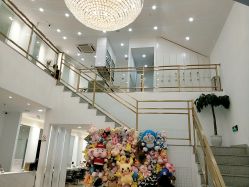 -YESIDO椰岛造型