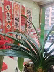 -苗医生专业祛痘·皮肤管理