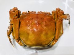 -天福苑(崇宁路店)