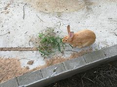 -东海森林温泉度假酒店