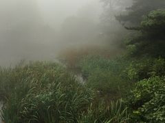 -庐山风景区花径公园