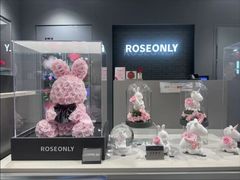 -ROSEONLY诺誓(国际广场购物中心店)