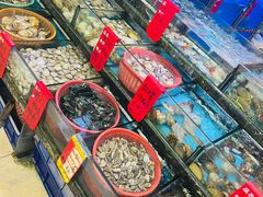 -鑫鸿达·海鲜闽菜热炒小馆(中山路店)