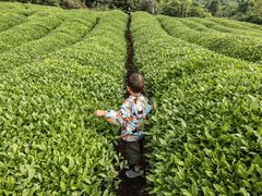 -敬亭山风景名胜区