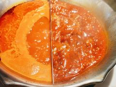 -九鼎轩脆毛肚火锅(三钢里店)