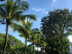 -129老爸茶丨清补凉