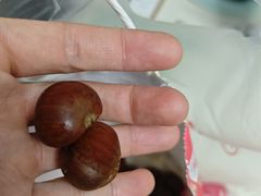 -杨记板栗(天虹总店)