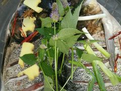 -庆岭迎宾园正宗活鱼馆