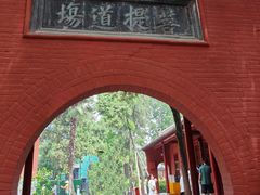 -洛阳白马寺