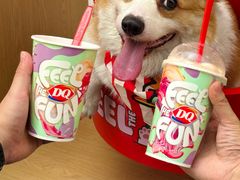 -DQ·蛋糕·冰淇淋(五角场万达店)