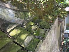 -普陀山风景名胜区-法雨禅寺