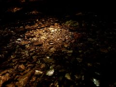 -素山寺森林公园