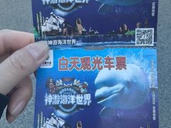 -威海华夏城景区