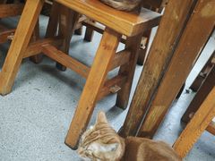 -澄城崇斌水盆羊肉(后宰门店)