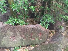 -溪口-滕头旅游景区