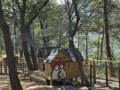 -沂蒙山旅游区云蒙景区(蒙山国家森林公园)