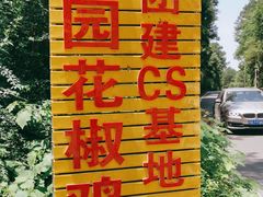 -铁山坪森林公园