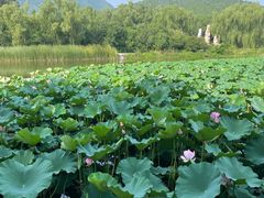 -国家植物园南园