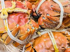 -七的湖·晚芳亭·阳澄湖农家菜·大闸蟹(莲花岛店)