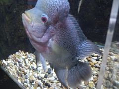 -石林冰雪海洋世界