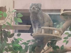 -青藏高原野生动物园