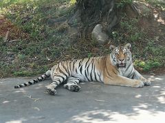 -西安秦岭野生动物园