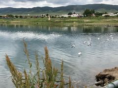 -青海湖国家重点风景名胜区