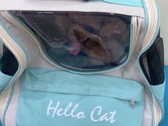 -天宠宠物医院24小时·急重症诊疗中心·全科·腔镜特色(和平分院)