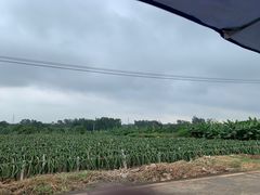 -硇洲岛旅游区