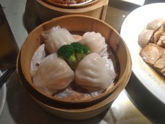 -南枝记