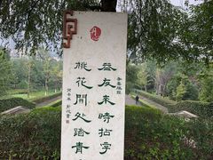 -重庆彩云湖湿地公园
