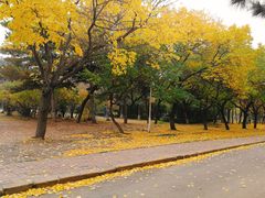 -吉林大学(南岭校区)