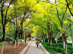 -南翠屏公园