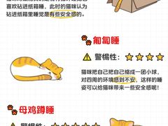 -lincat·猫舍(广州店)