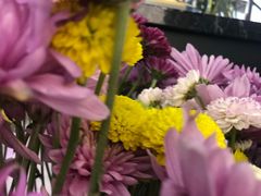 -顺华粉馆(桃园南路店)