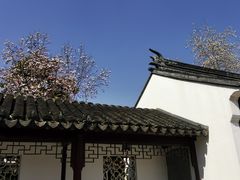 -枫桥景区