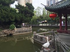 -上海千禧海鸥大酒店
