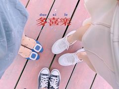 -上海滨江森林公园