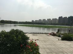 景点-南翔镇银翔湖公园