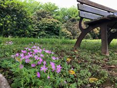 -福建鲤鱼洲酒店