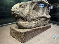 -自贡恐龙博物馆