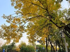 -北京颐和宾馆