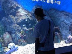 -贝林大翅鲸简餐厅(国家海洋博物馆店)