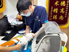 -瑞鹏宠物医院·内科·中兽医·骨科(苗圃店)
