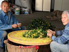 -苏州市吴中区光福窑上花果蜜饯厂