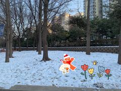 -元大都城垣遗址公园