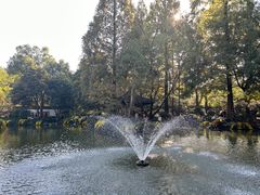 -杭州植物园