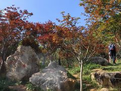 -广州市帽峰山景区