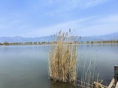 -野鸭湖国家湿地公园