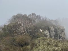 -白草畔自然风景区